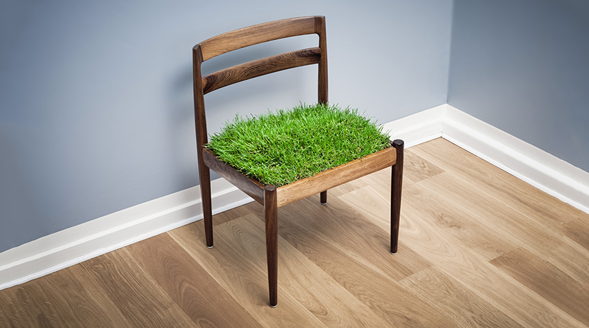 Conceptual Grass Growing On a Chair