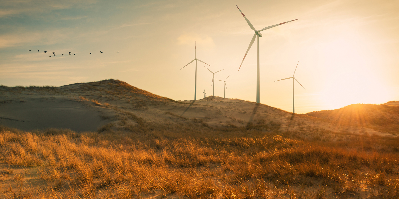 wind turbine in hills during golden hour