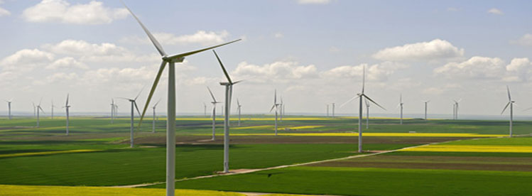 Wind Farm