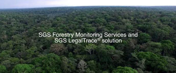 Forestry