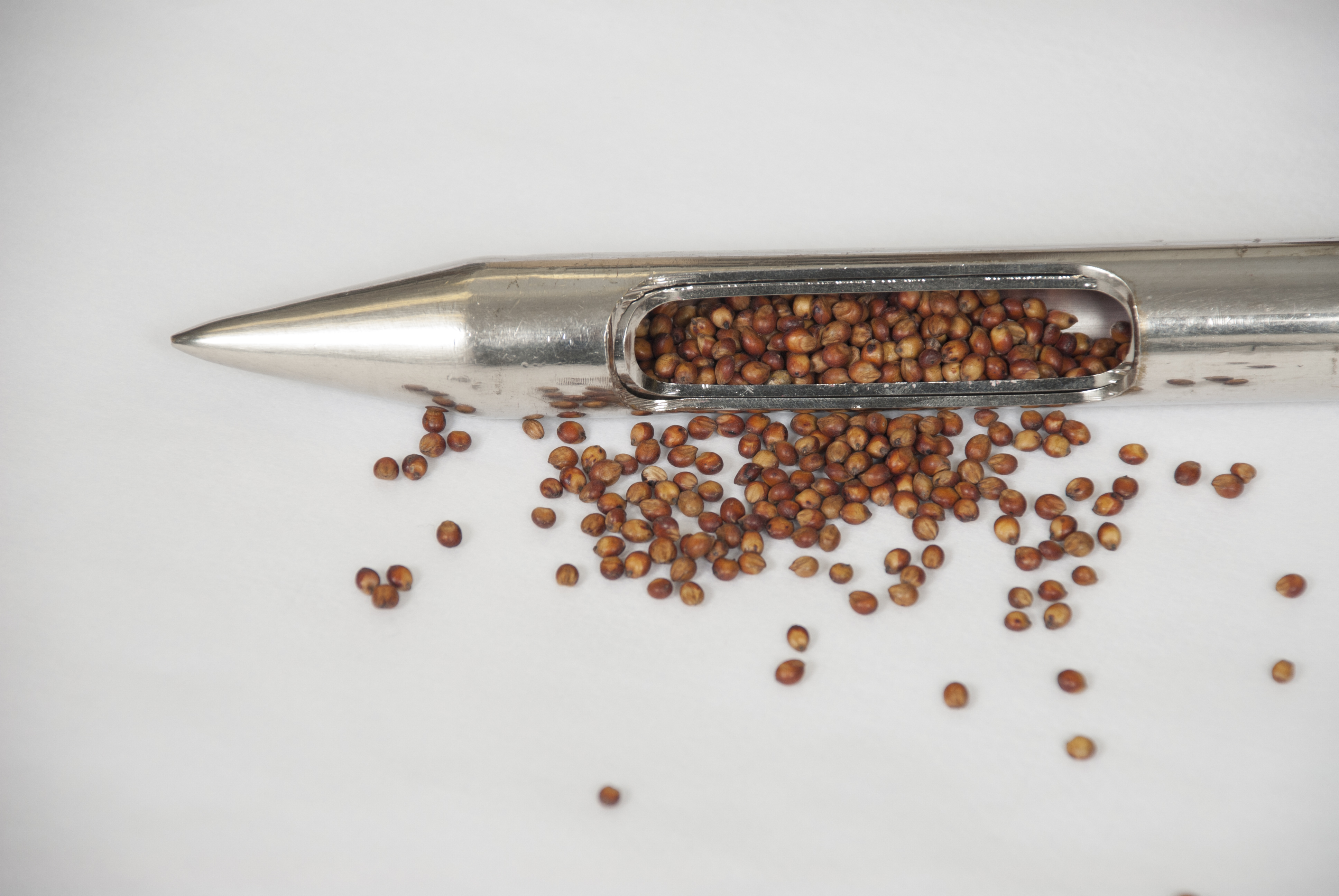Seed Sampling Probe and Seed